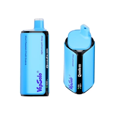 Pink Lemonade & Kiwi Passionfruit Guava & Peach Berry & Strawberry Banana | VAPSOLO 4IN1 80K Puffs Disposable Vape